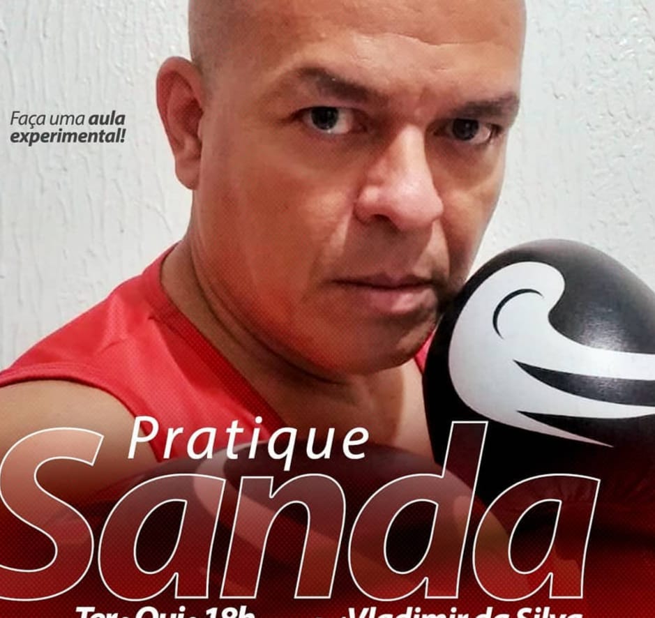 Mestre Vladimir